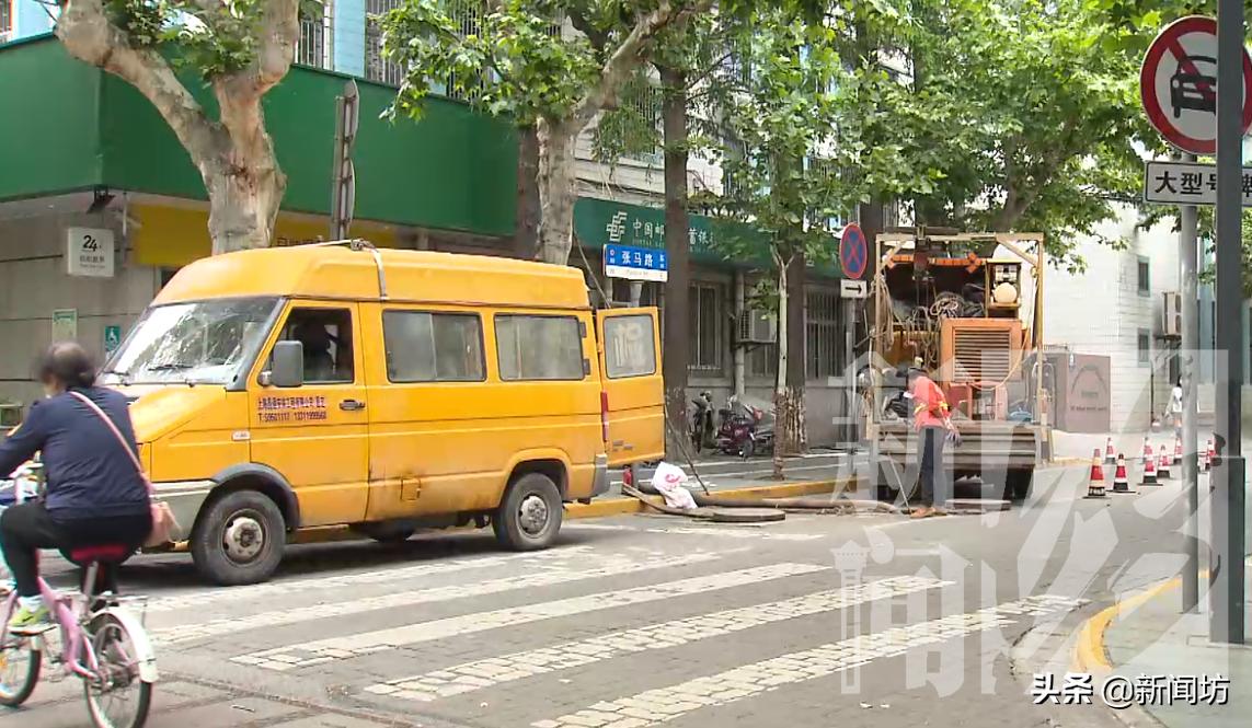 小伙一只宠物狗丢失,一男子2万元买了一只宠物犬