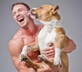 什么样的狗狗来报恩的,狗狗这些行为原来是在向你报恩