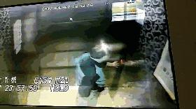 这只鹦鹉一直以为他是一只猴,所以每天都在重复做这个动作