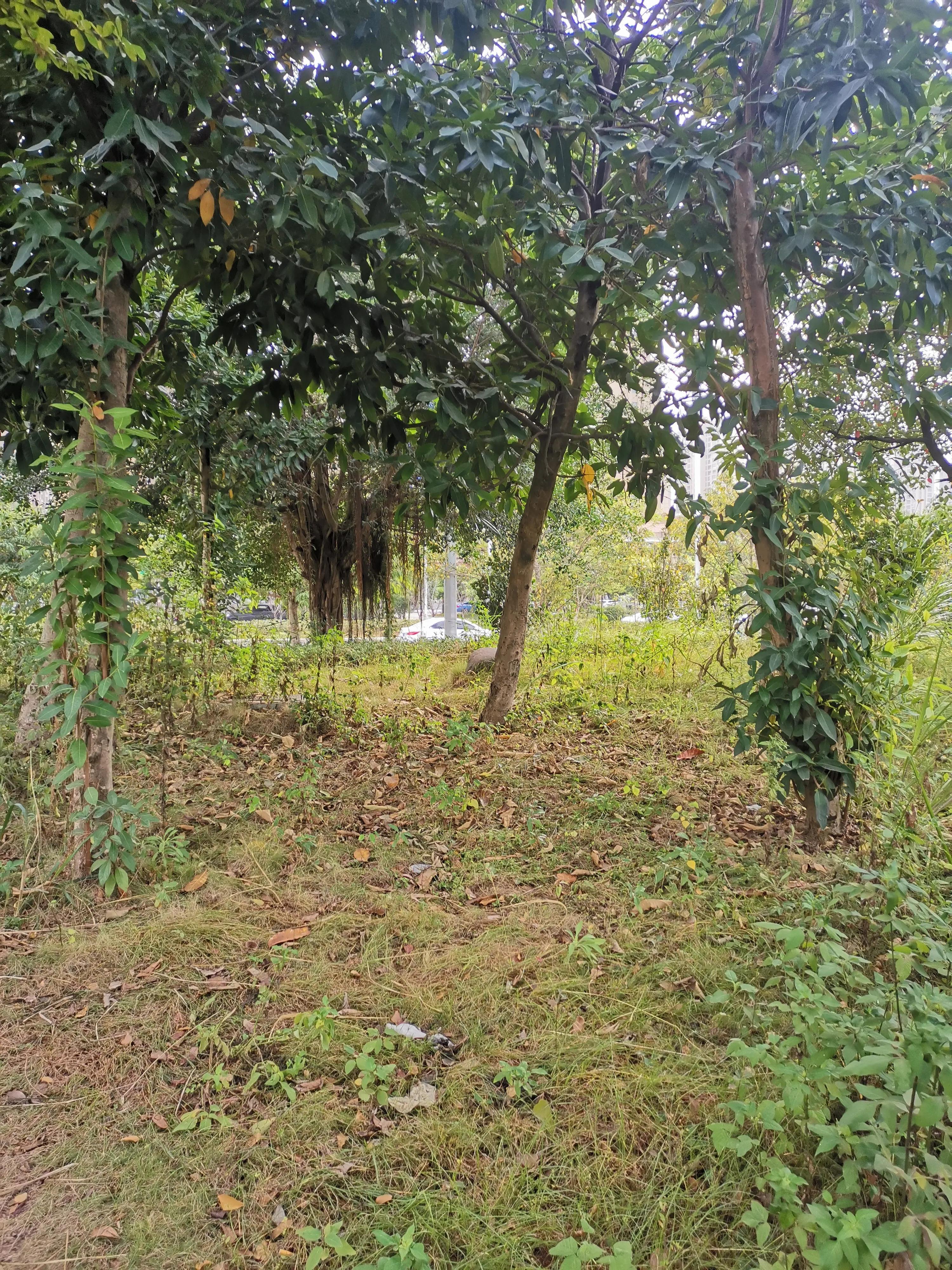 罗源县滨海新城有前景吗,罗源滨海新城区域