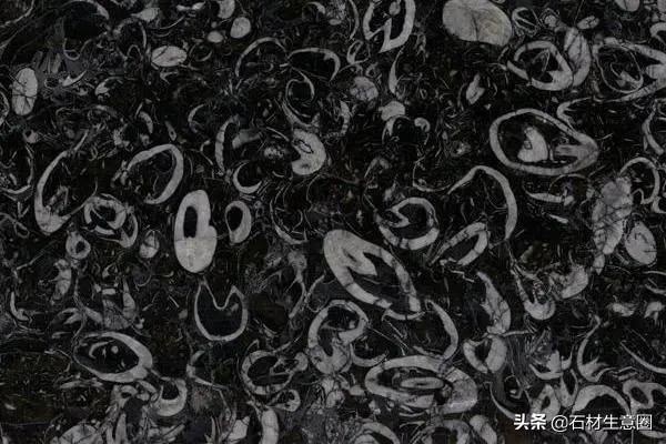 贵州正安海贝花大理石,贵州有哪些大理石品种