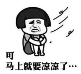 哪个牌子的羽绒服不坑,羽绒服和大鹅同档次