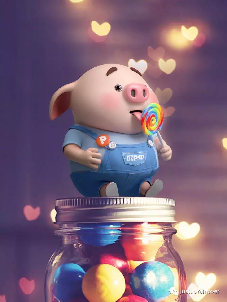 2019年我是最旺最红的猪！gruntgruntgrunt