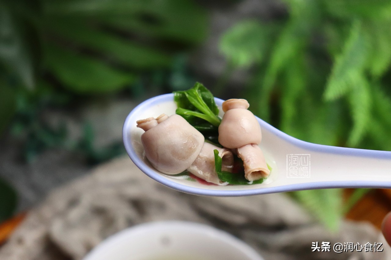 快立夏了,碰见这种时令野菜抓紧吃,营养足鲜又嫩,过阵子就少了