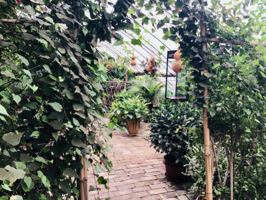 金色阳光幼儿园视频,金色阳光幼儿园有限公司