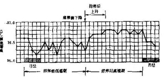 排卵期后注意什么有助于受孕着床,排卵期如果受孕了会有哪些征兆