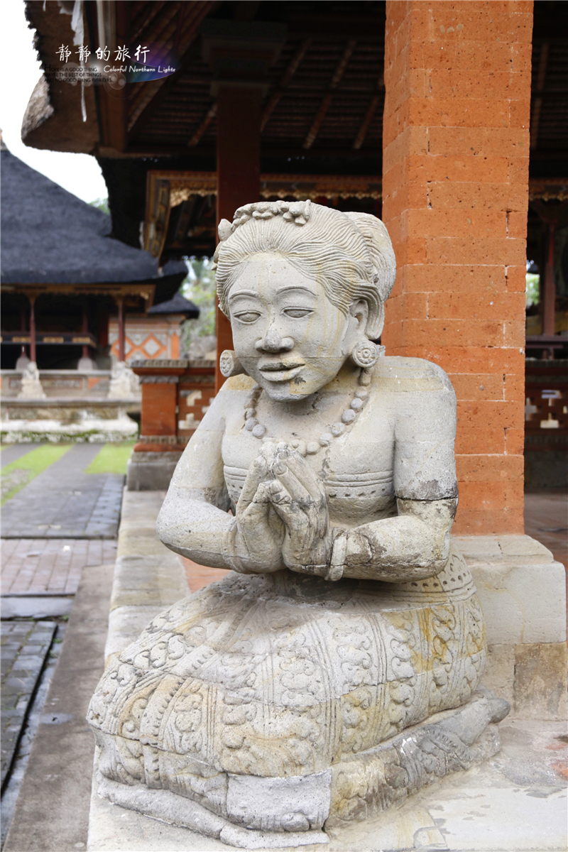 印尼猫屎咖啡比普通咖啡贵几倍,雅丁山印尼猫屎风味咖啡价格