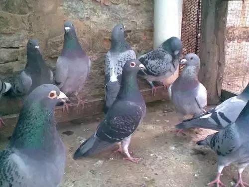 靖远职专简介,靖远职中简介