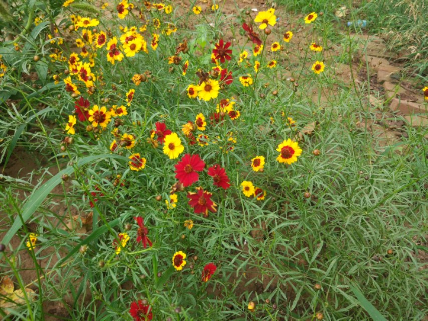 数学七巧板由来简单阐述,数学有关七巧板的介绍