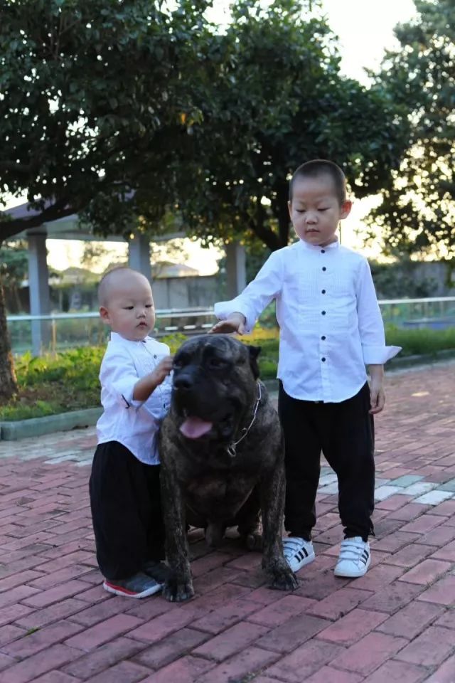 臻封面Vol.2|她是差不多小姐,更是狠角色美妈