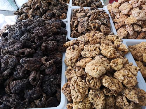 胎盘前壁后壁文案,胎盘的文案