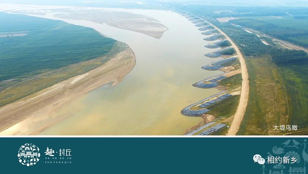 闻香识酒干红葡萄酒,闻香识艾草