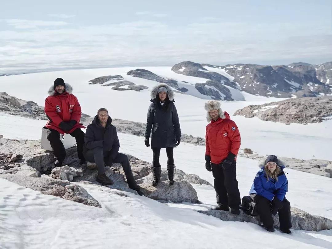 加拿大鹅既要风度又要温度,加拿大鹅冬天怎么保暖的