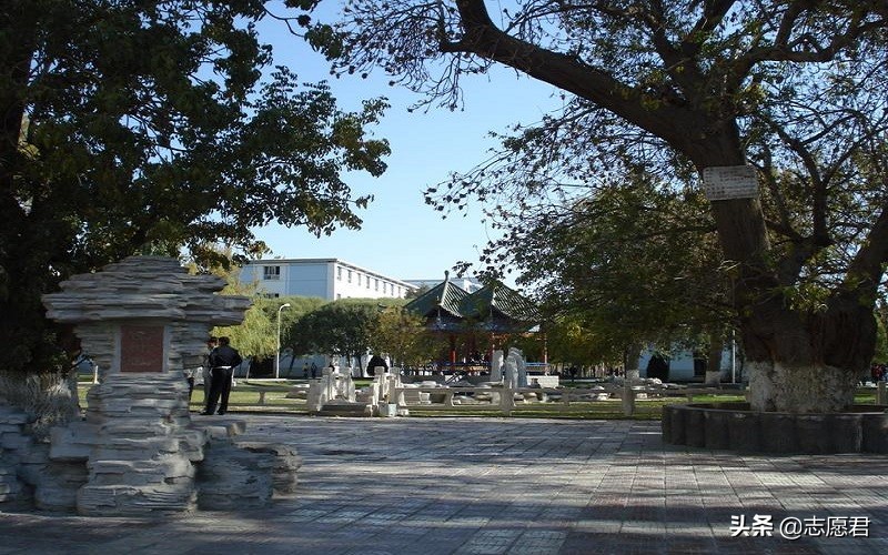 高考460分的洛阳女生，捡漏上喀什大学，幸运还是后悔？