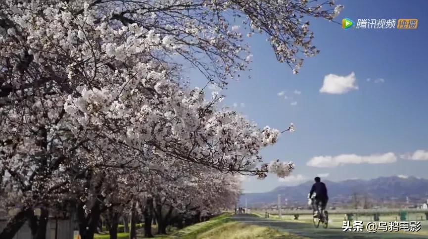 hbo精彩片段,hbo最新动态