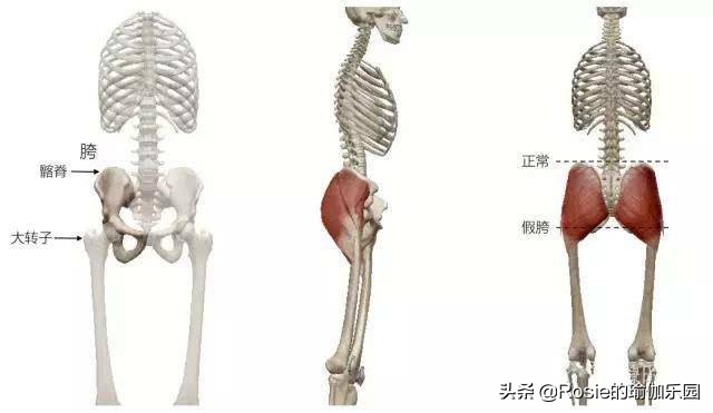 怎么同时瘦腿胯和腿内侧,坚持一周收胯瘦腿