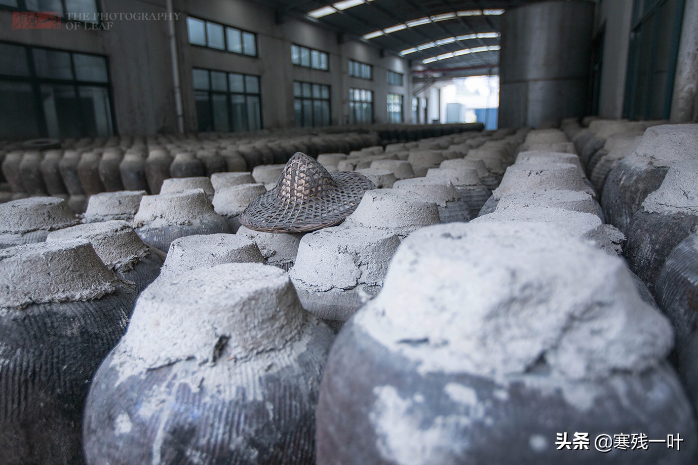 酒厂酿酒技术大全,台州酒厂手酿酒
