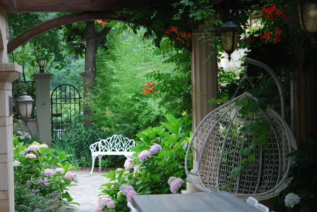 东北花园四季开花植物,北方一年四季都开花的花园