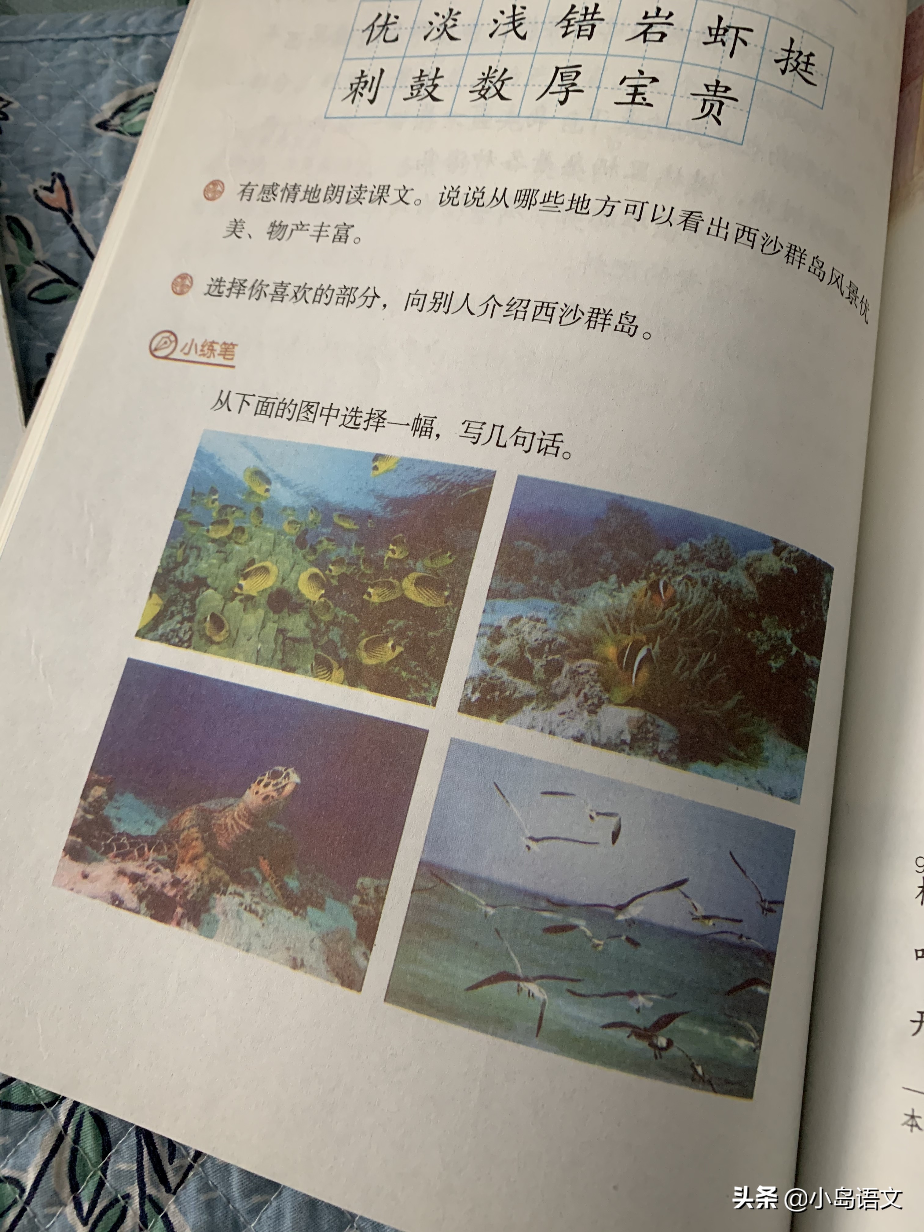 三年级上册仿写句子技巧讲解,仿写句子专项练习方法三年级技巧