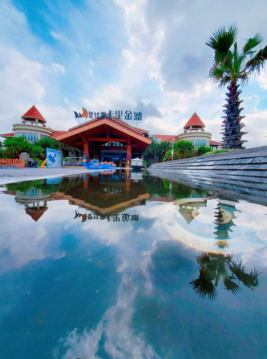 生蚝之乡广东阳江,生蚝之乡鲜蚝