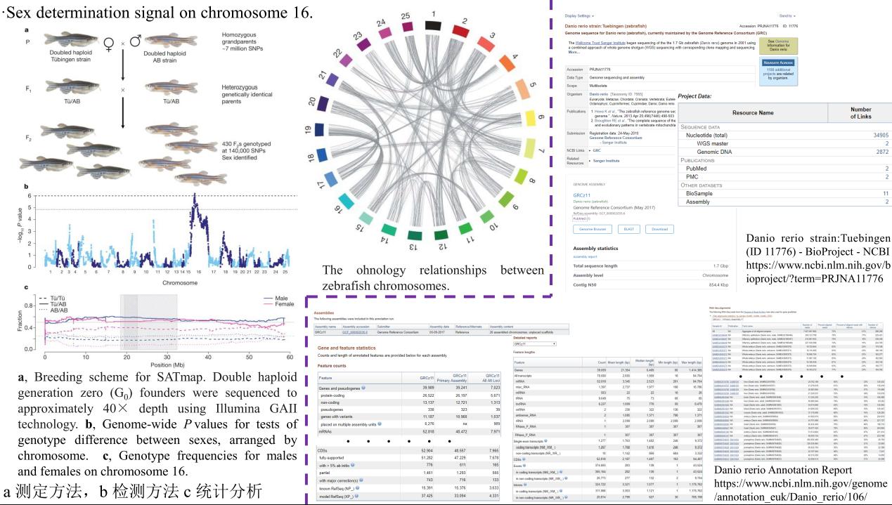 子曰唯小人和女人难养也译文,子曰唯小人与女子难养也什么意思