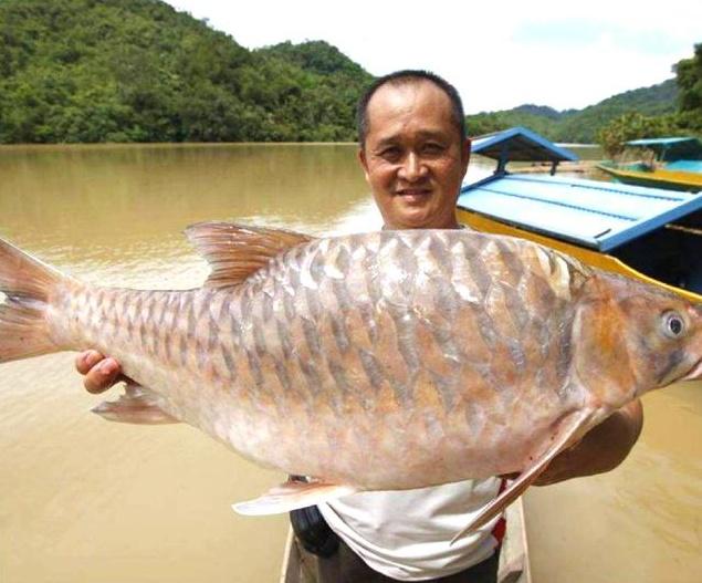 十年前,我只带了一根鱼竿出门,吃遍了世界上的各种顶级海鲜