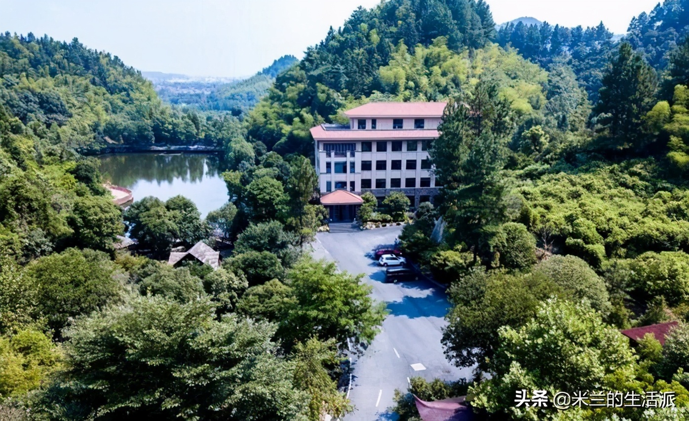 森林养生基地一览表,森林公园养生胜地