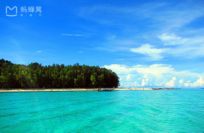 皮皮岛本岛怎么玩,pp岛有什么好玩的