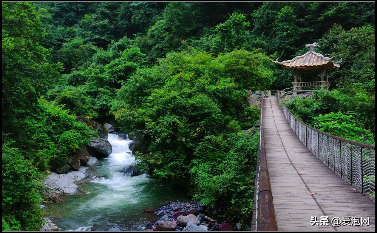 四川黑竹沟峡谷,中国最神秘的山谷
