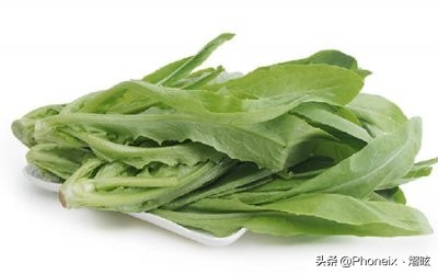 常州地区全年露天种植蔬菜时间表,常见露天蔬菜种植时间表