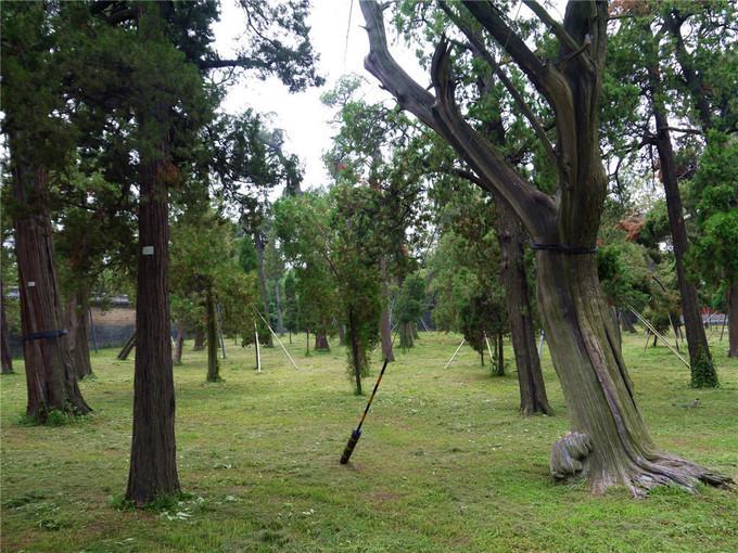 鏇查槣瀛斿簷鍥涘杞洖,鏇查槣瀛斿簷涓囦笘甯堣〃鍖鹃