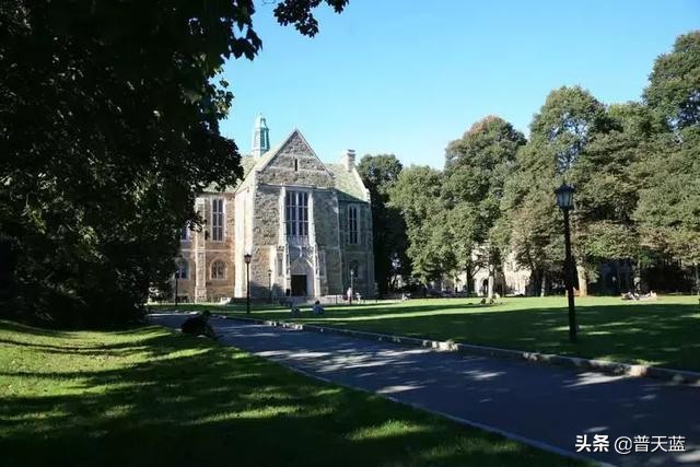 国外留学生真实生活,中国留学生在国外用中医治病