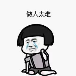 厦门事业单位拟招363人,厦门事业单位306