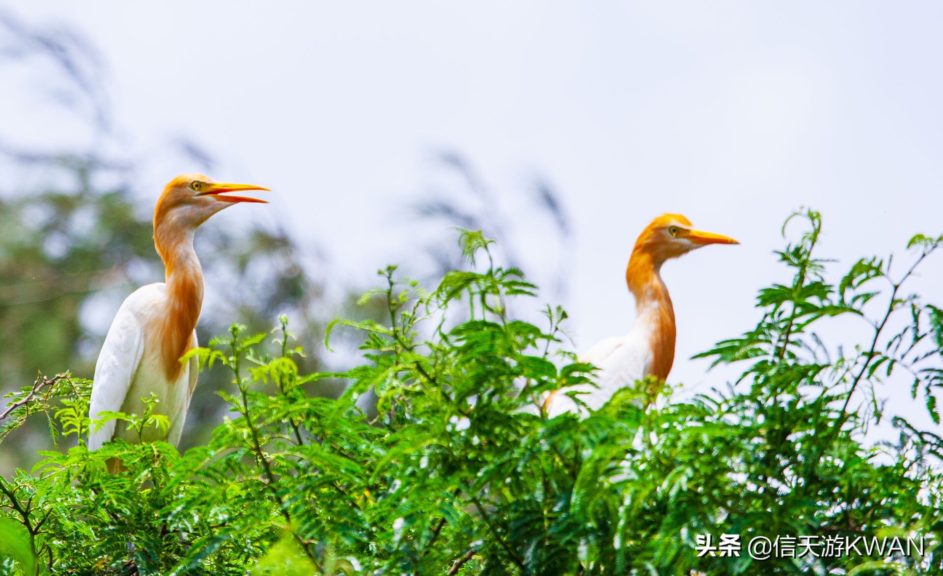 为什么最近越来越多人玩摄影了,越来越喜欢摄影的人