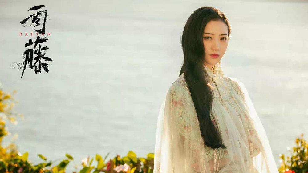 看完司藤后看哪部电视剧,看完司藤还爱看什么