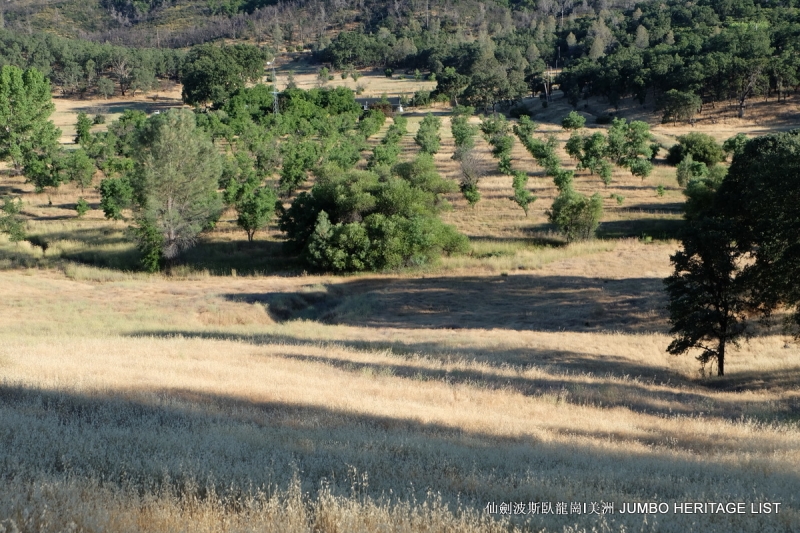 第3045回:人生一世草生一春,来如风雨去似微尘