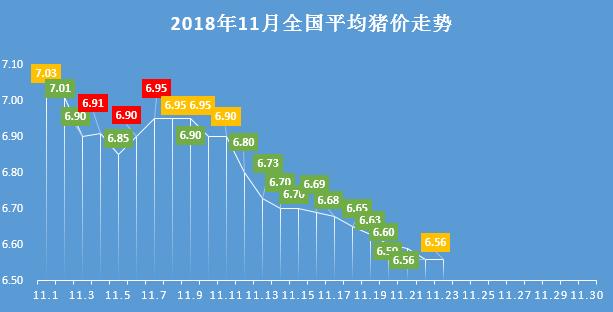 6月18日毛猪价格行情,农业农村部新闻猪价发布会