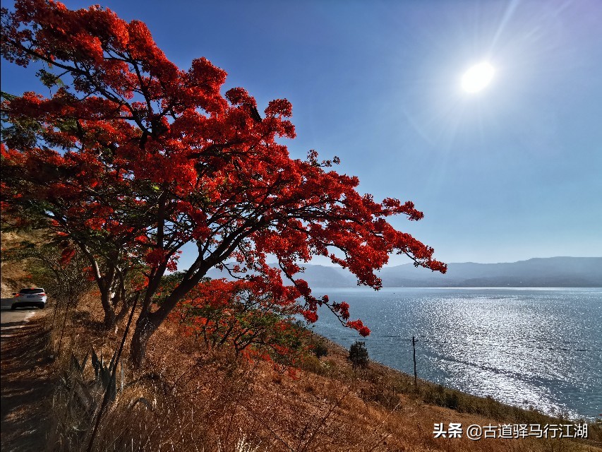 成也螺旋藻,败也螺旋藻~这个中国唯一的湖泊,未来该何去何从?