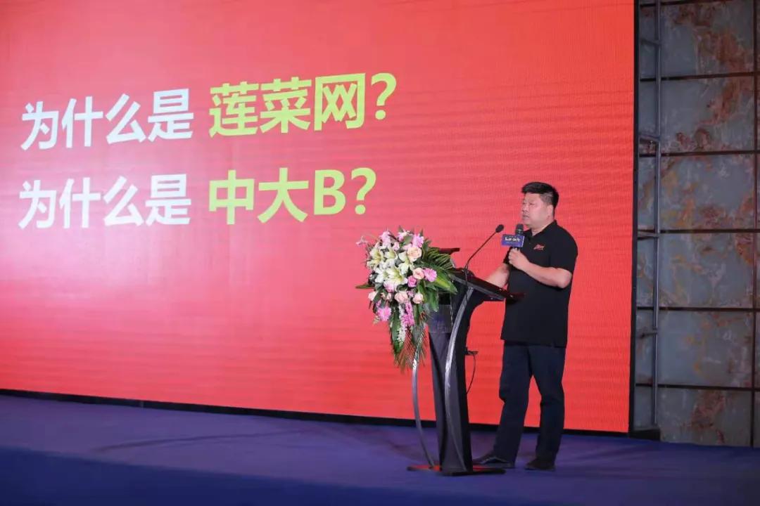 莲菜网商业模式,莲菜网经营问题