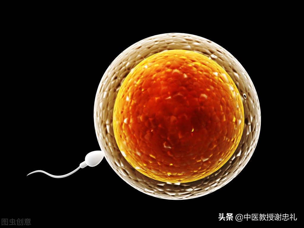 中医血的主要生理功能,血精症中医说法