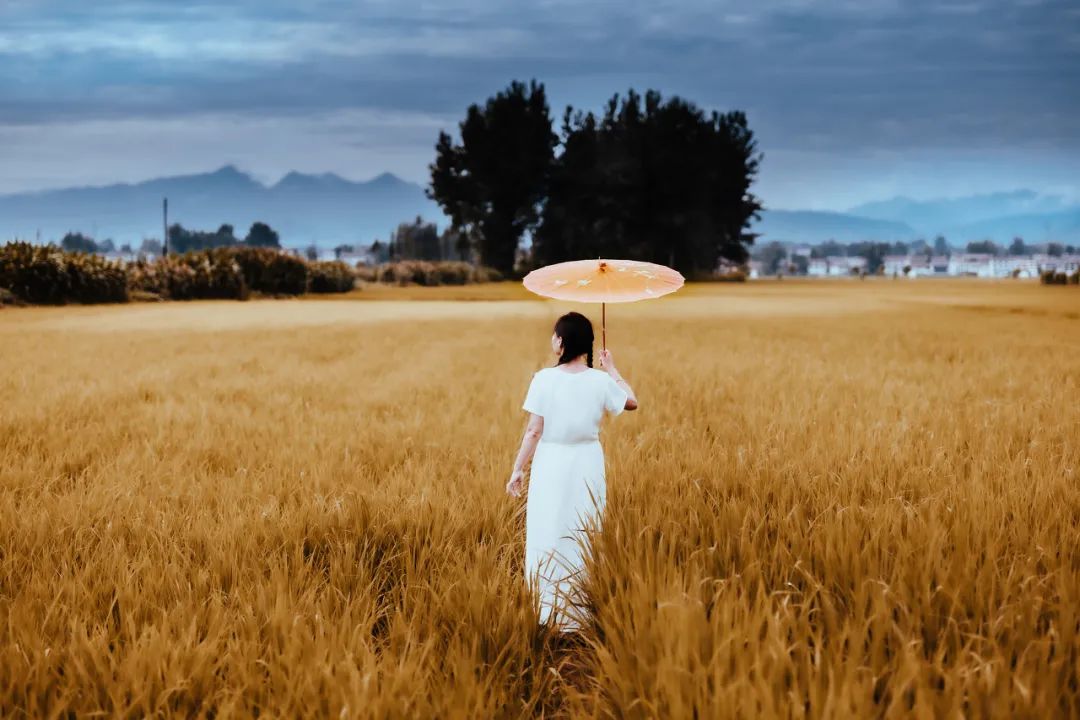 如果人生很难怎么办,如果人生遇到过不去的坎怎么办