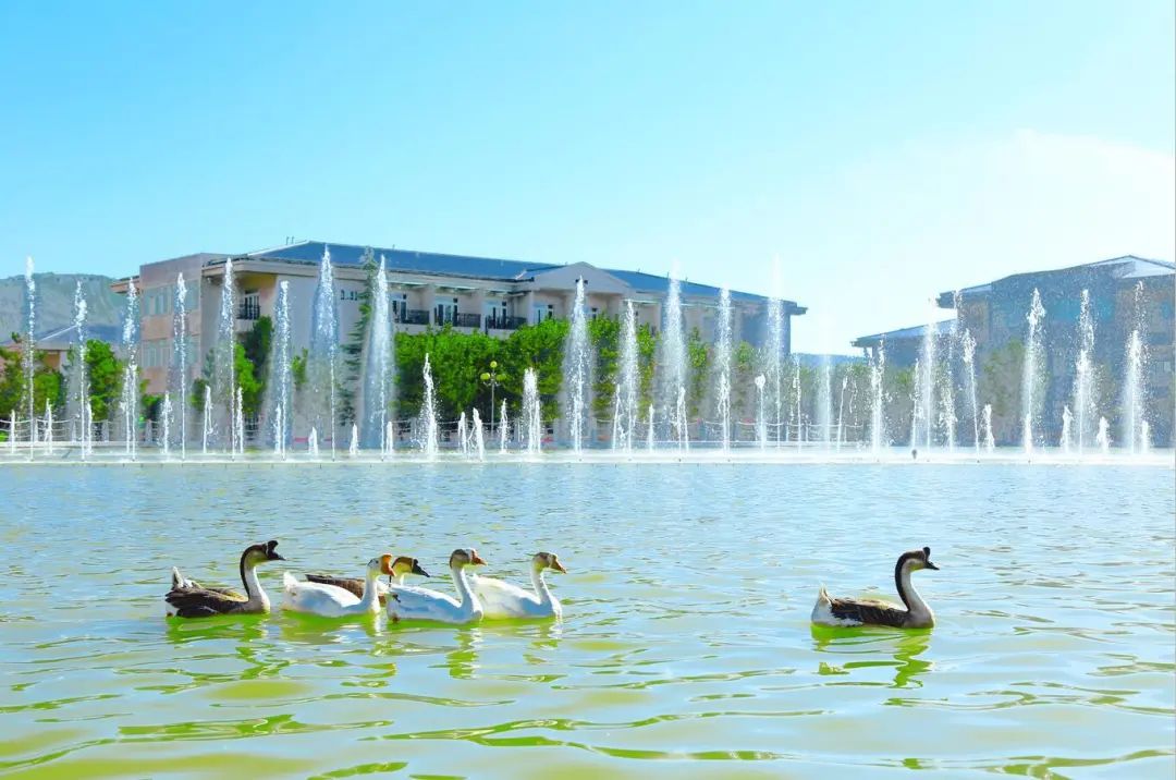 炫夏惠动限购秒杀