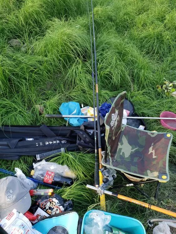 再次探钓朱家河，遭遇“水葫芦大军”