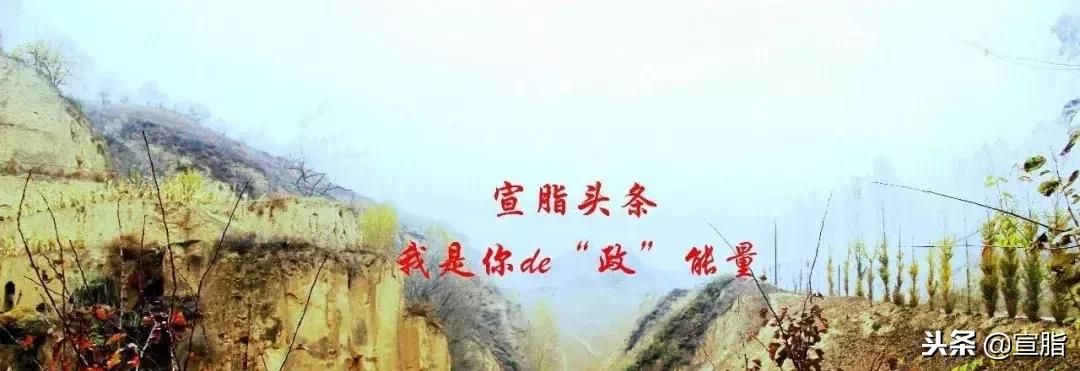 怎么改掉小学生马虎的习惯,小学生做题马虎以后能不能改掉