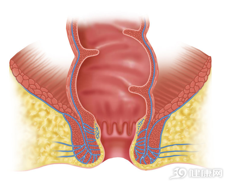 肛门潮湿有白色分泌物如何治疗,肛门瘙痒潮湿有分泌物用什么药