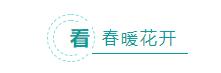 云台山春天视频,云台山气氛