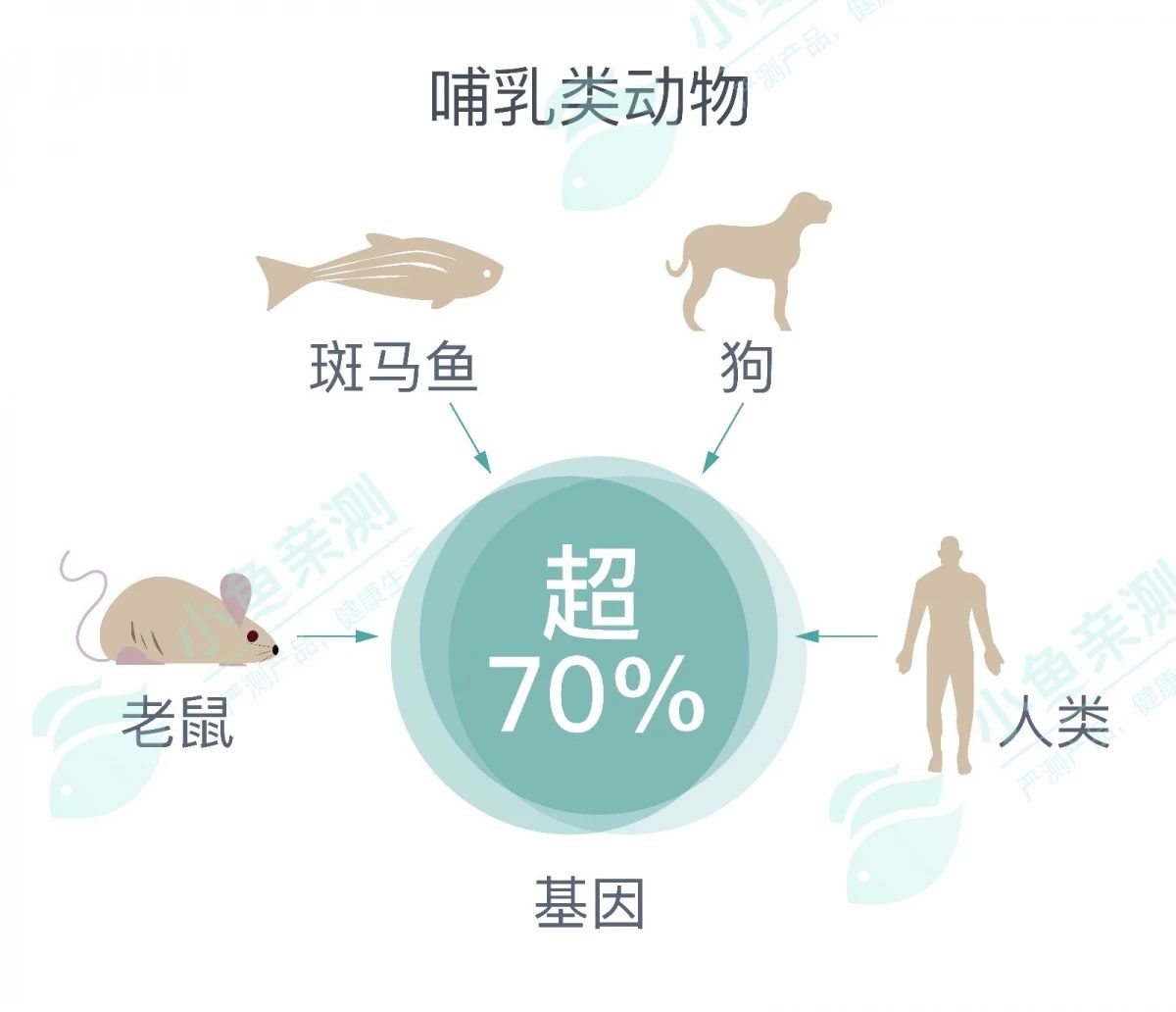 狗粮猫粮315打假榜单哪个好点,狗粮315打假榜单