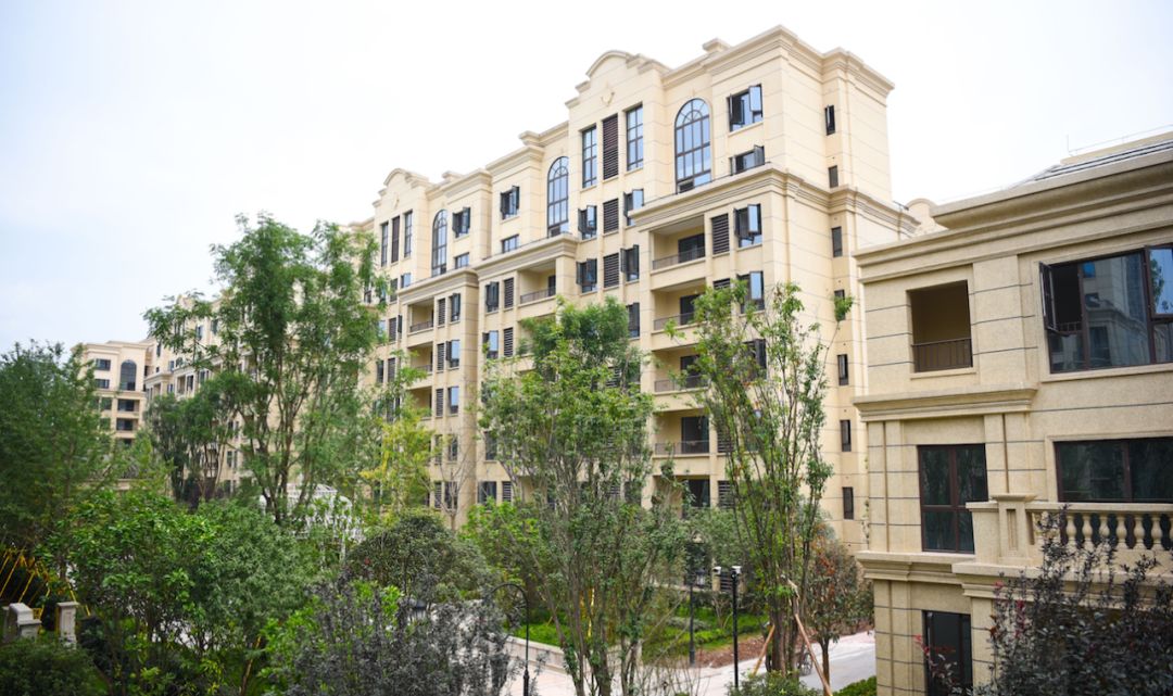 开学的学校有哪些,开学了孩子还没找到学校