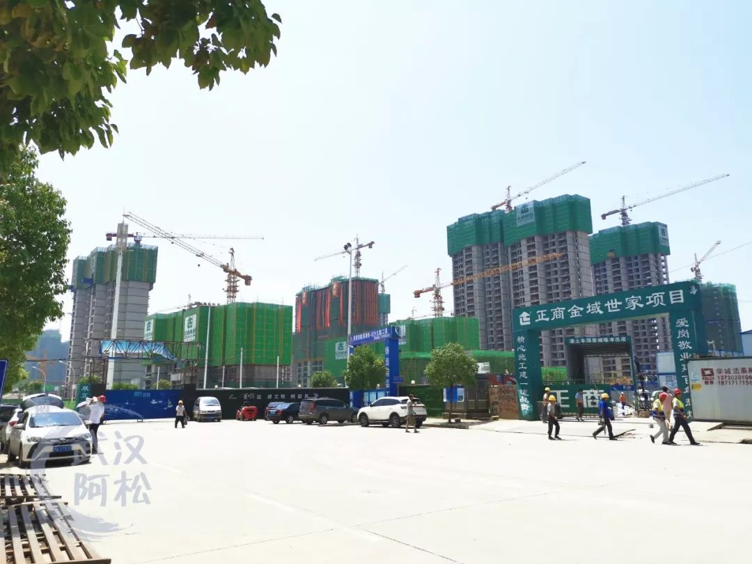 白沙洲新楼盘排行榜2020,白沙洲最火盘