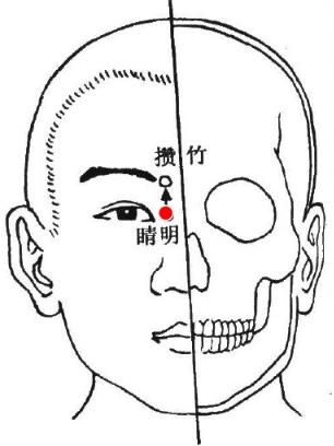 膀胱经十二正经各自的作用,内经十二经脉揭秘及应用的书